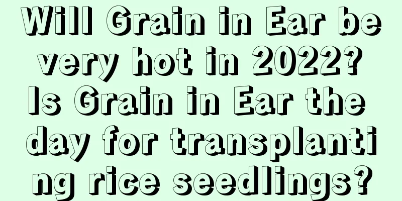 Will Grain in Ear be very hot in 2022? Is Grain in Ear the day for transplanting rice seedlings?