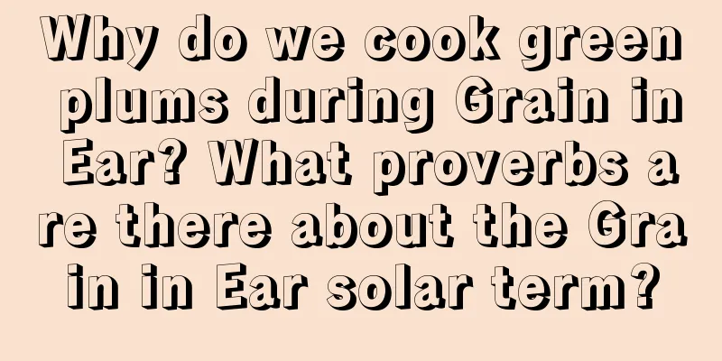 Why do we cook green plums during Grain in Ear? What proverbs are there about the Grain in Ear solar term?