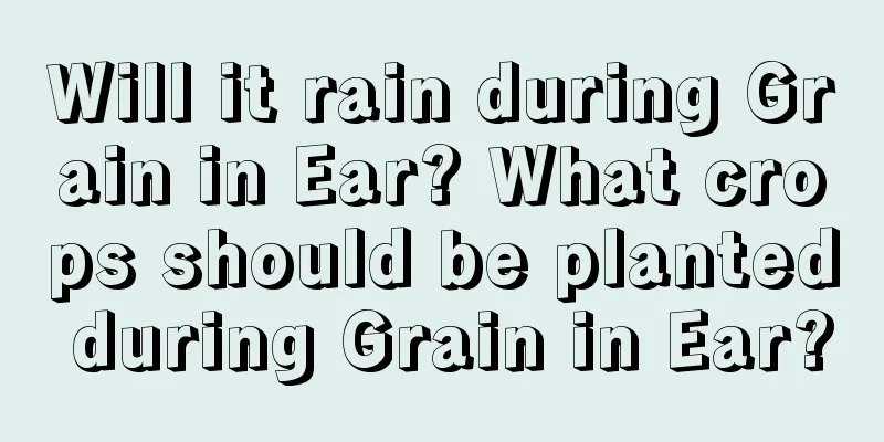 Will it rain during Grain in Ear? What crops should be planted during Grain in Ear?