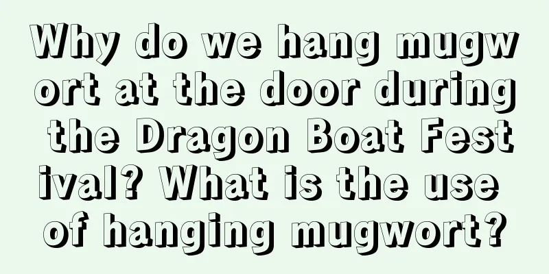 Why do we hang mugwort at the door during the Dragon Boat Festival? What is the use of hanging mugwort?