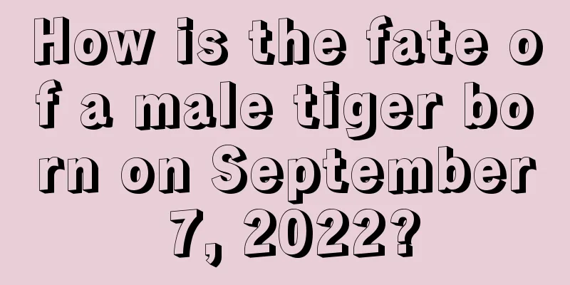 How is the fate of a male tiger born on September 7, 2022?