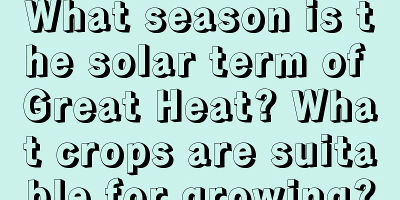 What season is the solar term of Great Heat? What crops are suitable for growing?