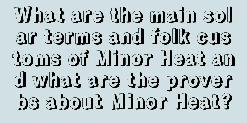 What are the main solar terms and folk customs of Minor Heat and what are the proverbs about Minor Heat?