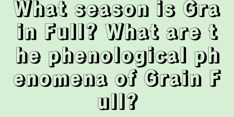 What season is Grain Full? What are the phenological phenomena of Grain Full?