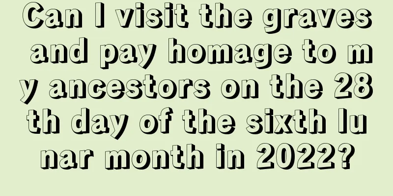 Can I visit the graves and pay homage to my ancestors on the 28th day of the sixth lunar month in 2022?