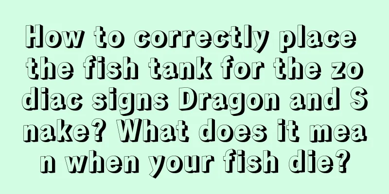 How to correctly place the fish tank for the zodiac signs Dragon and Snake? What does it mean when your fish die?