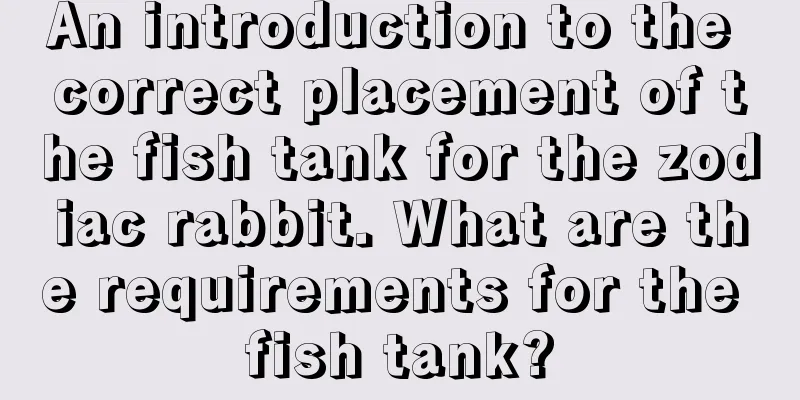 An introduction to the correct placement of the fish tank for the zodiac rabbit. What are the requirements for the fish tank?