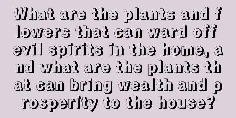 What are the plants and flowers that can ward off evil spirits in the home, and what are the plants that can bring wealth and prosperity to the house?