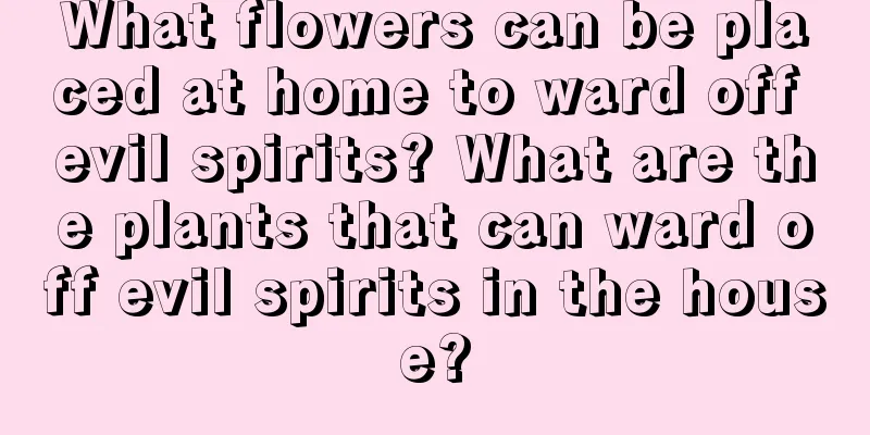 What flowers can be placed at home to ward off evil spirits? What are the plants that can ward off evil spirits in the house?