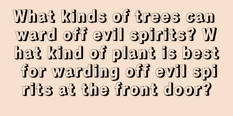 What kinds of trees can ward off evil spirits? What kind of plant is best for warding off evil spirits at the front door?