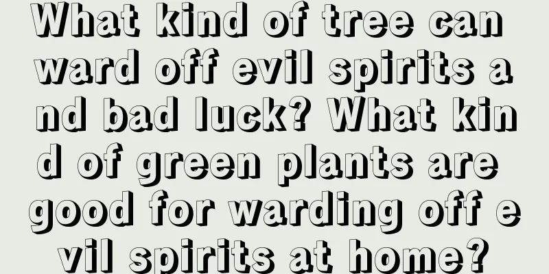 What kind of tree can ward off evil spirits and bad luck? What kind of green plants are good for warding off evil spirits at home?