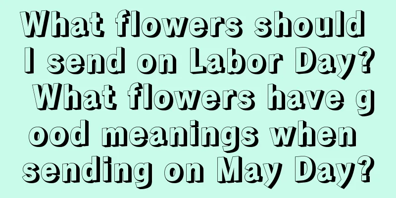 What flowers should I send on Labor Day? What flowers have good meanings when sending on May Day?