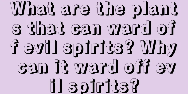 What are the plants that can ward off evil spirits? Why can it ward off evil spirits?