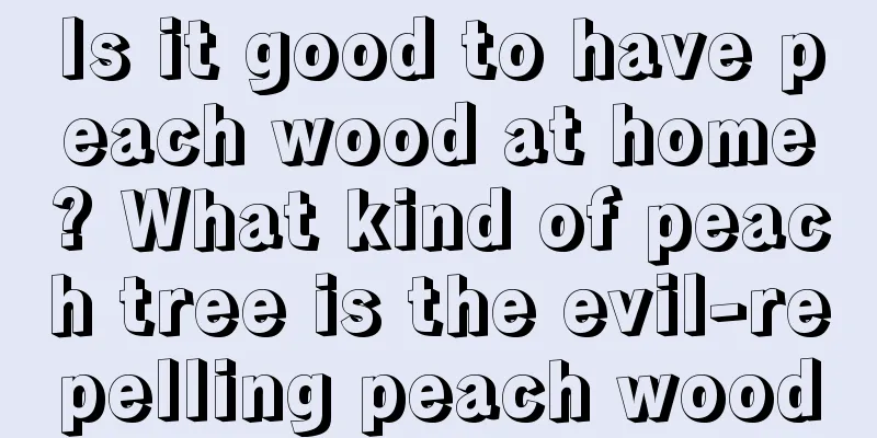 Is it good to have peach wood at home? What kind of peach tree is the evil-repelling peach wood