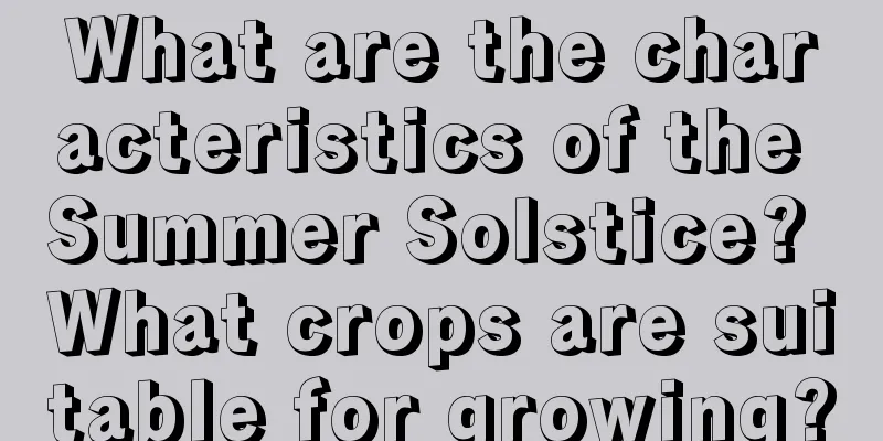 What are the characteristics of the Summer Solstice? What crops are suitable for growing?