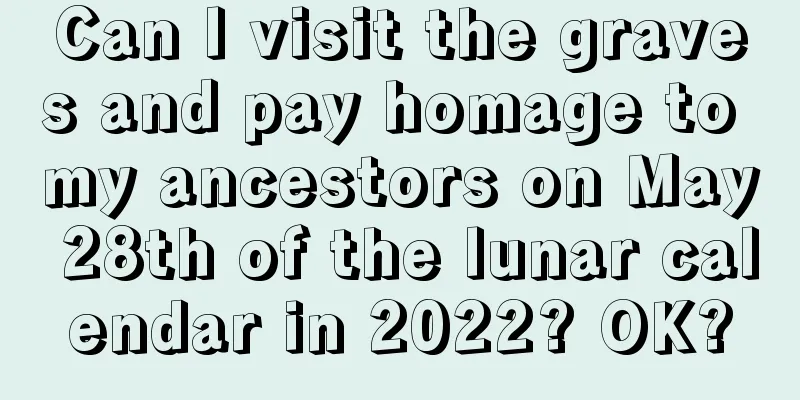 Can I visit the graves and pay homage to my ancestors on May 28th of the lunar calendar in 2022? OK?