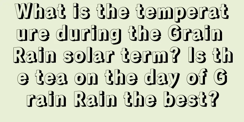 What is the temperature during the Grain Rain solar term? Is the tea on the day of Grain Rain the best?