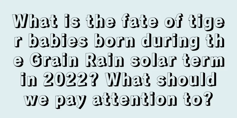 What is the fate of tiger babies born during the Grain Rain solar term in 2022? What should we pay attention to?