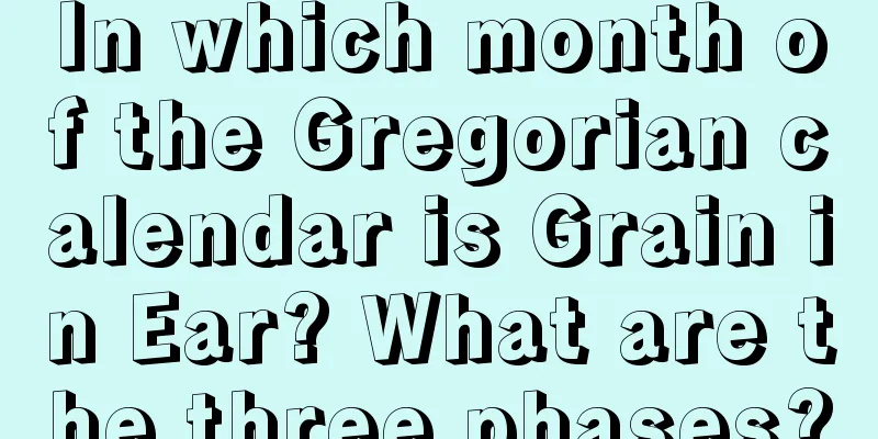 In which month of the Gregorian calendar is Grain in Ear? What are the three phases?