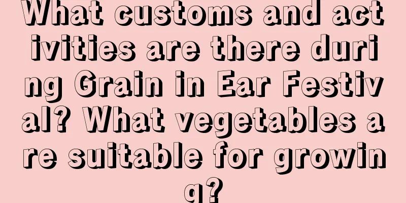 What customs and activities are there during Grain in Ear Festival? What vegetables are suitable for growing?