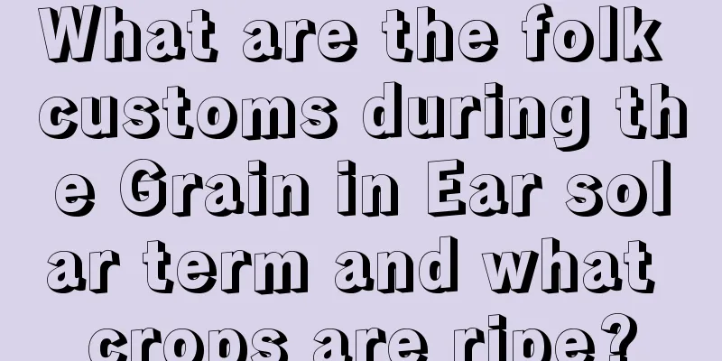 What are the folk customs during the Grain in Ear solar term and what crops are ripe?