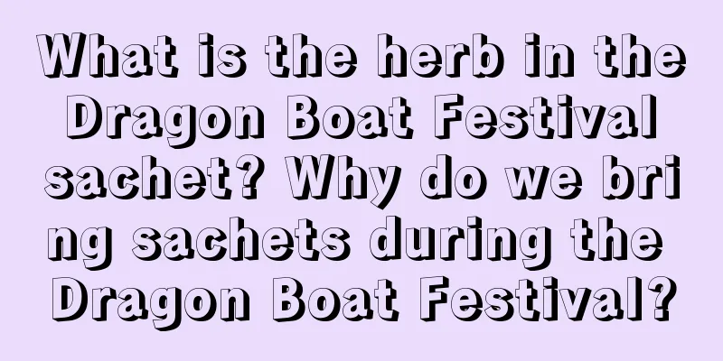 What is the herb in the Dragon Boat Festival sachet? Why do we bring sachets during the Dragon Boat Festival?
