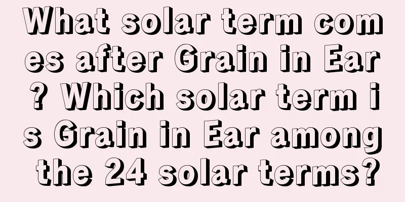 What solar term comes after Grain in Ear? Which solar term is Grain in Ear among the 24 solar terms?