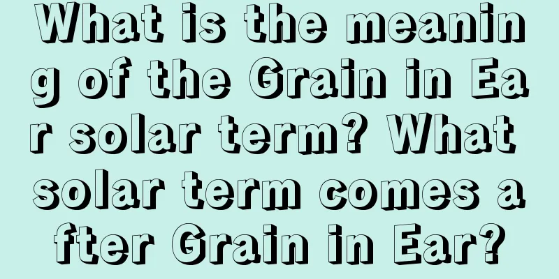 What is the meaning of the Grain in Ear solar term? What solar term comes after Grain in Ear?
