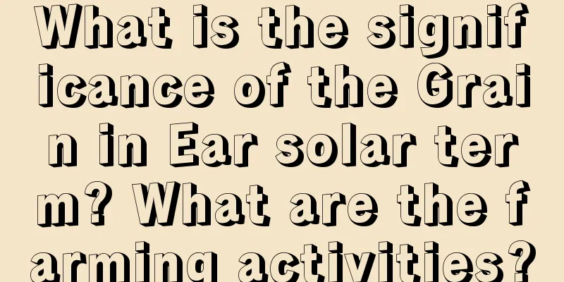 What is the significance of the Grain in Ear solar term? What are the farming activities?