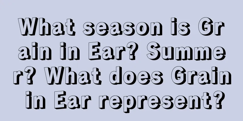 What season is Grain in Ear? Summer? What does Grain in Ear represent?