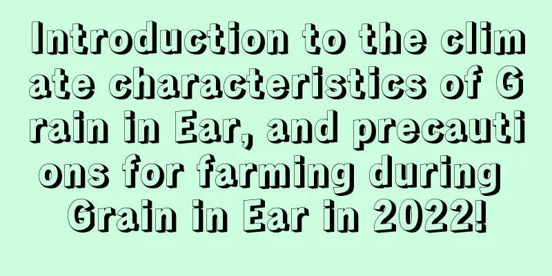 Introduction to the climate characteristics of Grain in Ear, and precautions for farming during Grain in Ear in 2022!