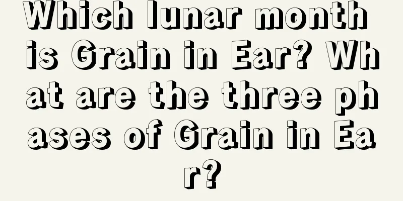 Which lunar month is Grain in Ear? What are the three phases of Grain in Ear?