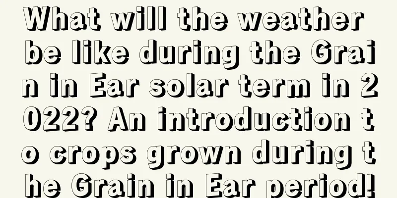 What will the weather be like during the Grain in Ear solar term in 2022? An introduction to crops grown during the Grain in Ear period!