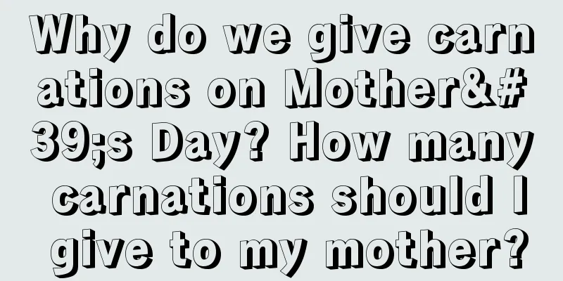Why do we give carnations on Mother's Day? How many carnations should I give to my mother?