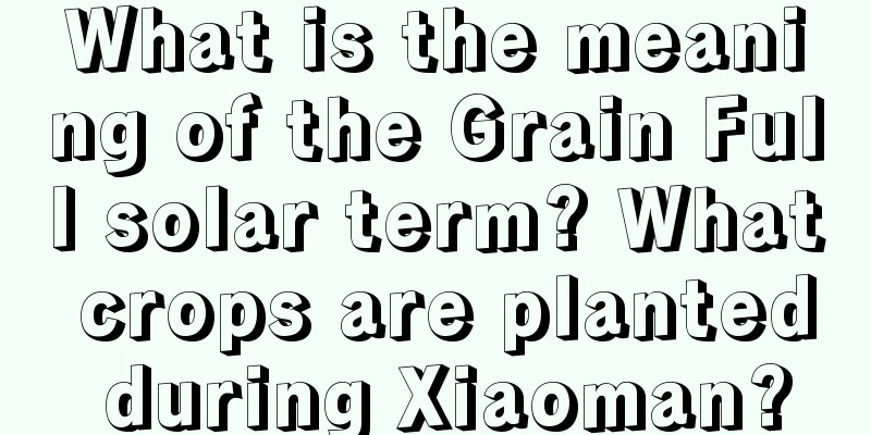 What is the meaning of the Grain Full solar term? What crops are planted during Xiaoman?