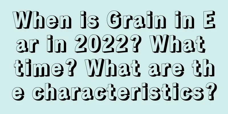 When is Grain in Ear in 2022? What time? What are the characteristics?