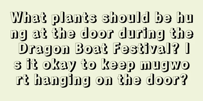 What plants should be hung at the door during the Dragon Boat Festival? Is it okay to keep mugwort hanging on the door?