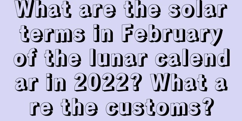 What are the solar terms in February of the lunar calendar in 2022? What are the customs?