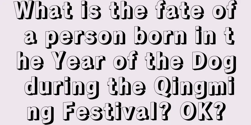 What is the fate of a person born in the Year of the Dog during the Qingming Festival? OK?