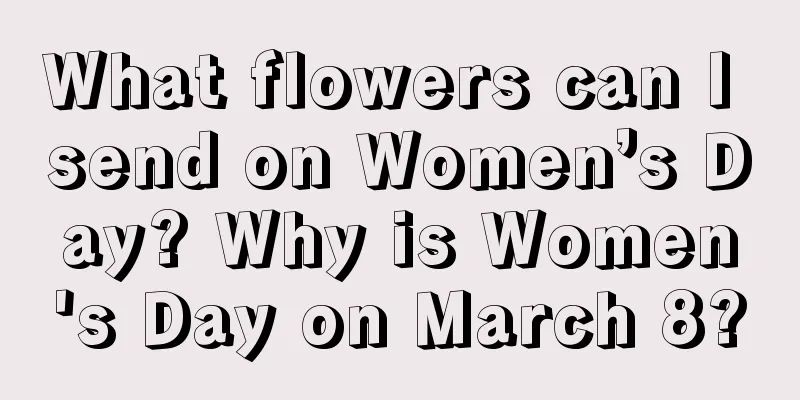 What flowers can I send on Women’s Day? Why is Women's Day on March 8?