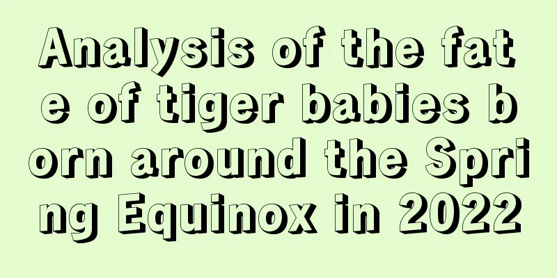 Analysis of the fate of tiger babies born around the Spring Equinox in 2022