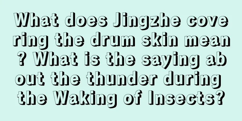 What does Jingzhe covering the drum skin mean? What is the saying about the thunder during the Waking of Insects?