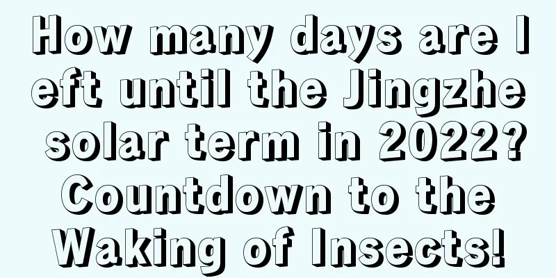 How many days are left until the Jingzhe solar term in 2022? Countdown to the Waking of Insects!