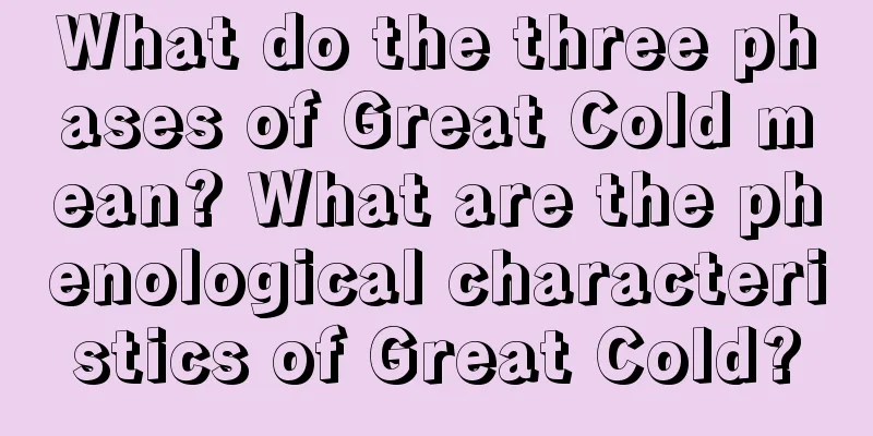 What do the three phases of Great Cold mean? What are the phenological characteristics of Great Cold?