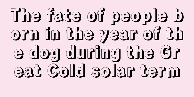 The fate of people born in the year of the dog during the Great Cold solar term