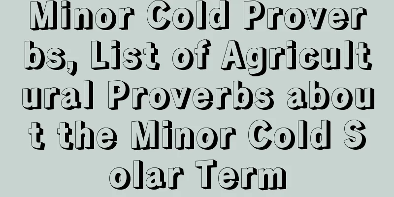 Minor Cold Proverbs, List of Agricultural Proverbs about the Minor Cold Solar Term