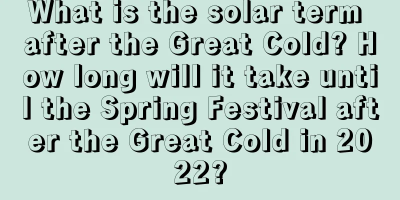 What is the solar term after the Great Cold? How long will it take until the Spring Festival after the Great Cold in 2022?