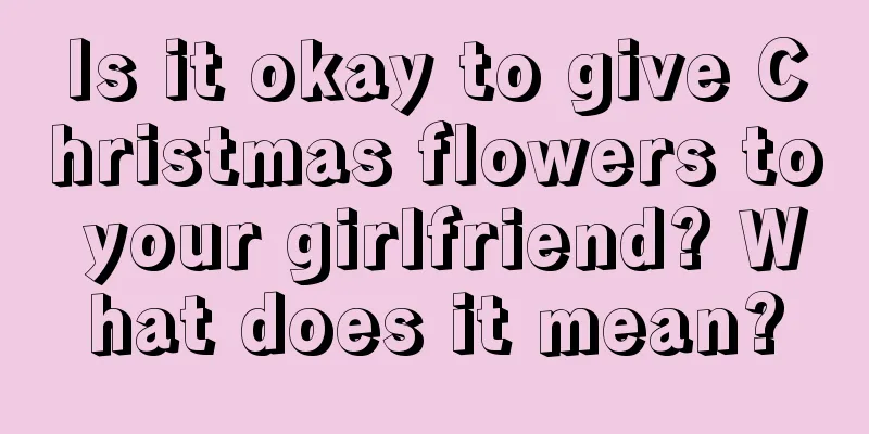 Is it okay to give Christmas flowers to your girlfriend? What does it mean?