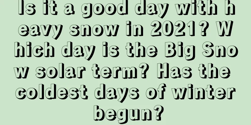 Is it a good day with heavy snow in 2021? Which day is the Big Snow solar term? Has the coldest days of winter begun?