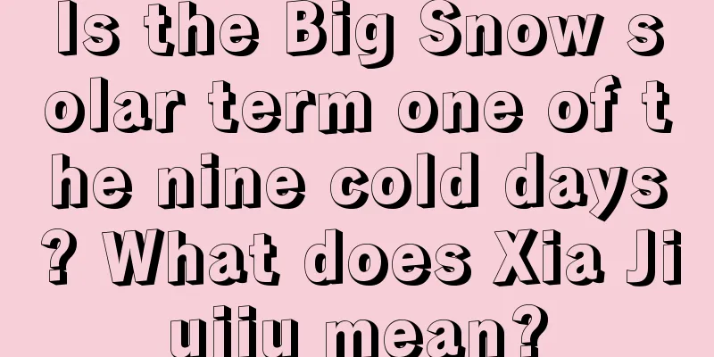 Is the Big Snow solar term one of the nine cold days? What does Xia Jiujiu mean?
